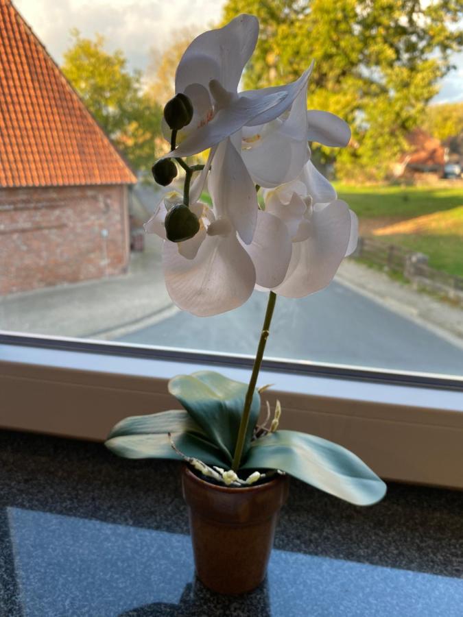 Zur Post * Uetze
