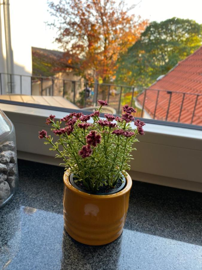 Zur Post Gasthof Uetze